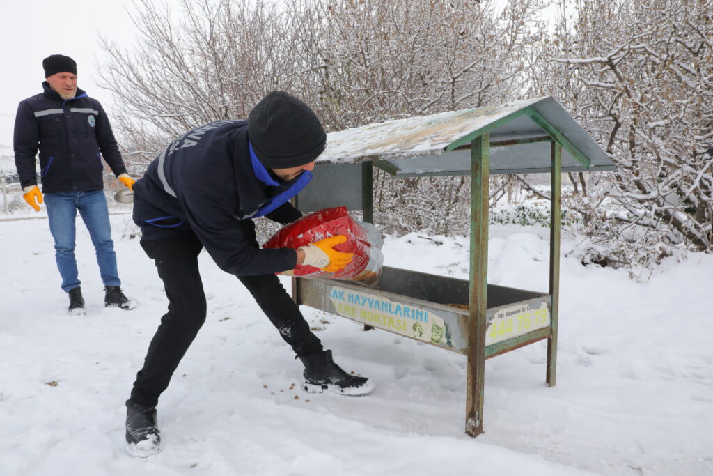 Can Dostlarımız Bize Emanet