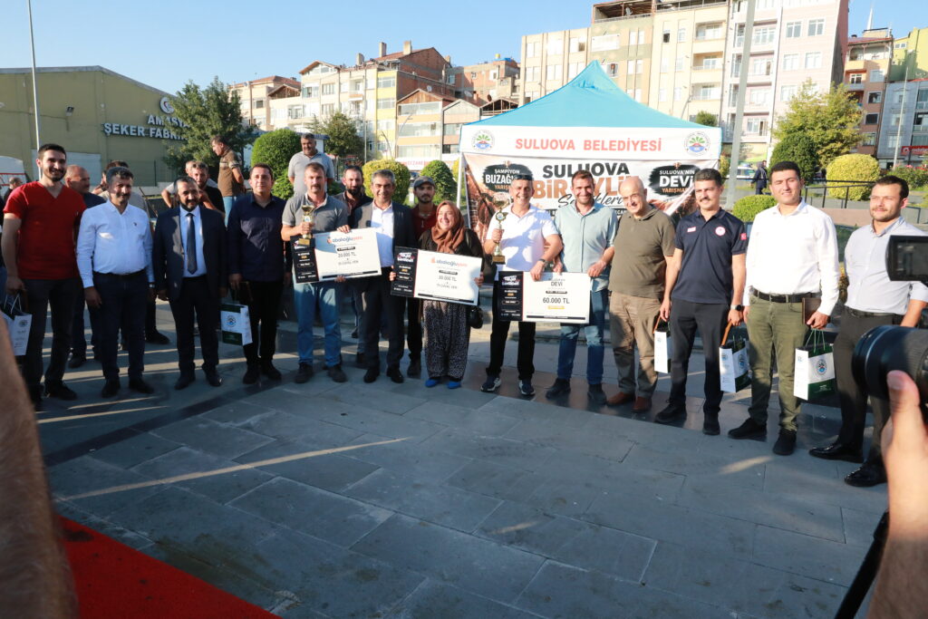 şampiyon Buzağılar ve Suluova’nın Devi Belli Oldu!